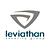 Leviathan Security Group